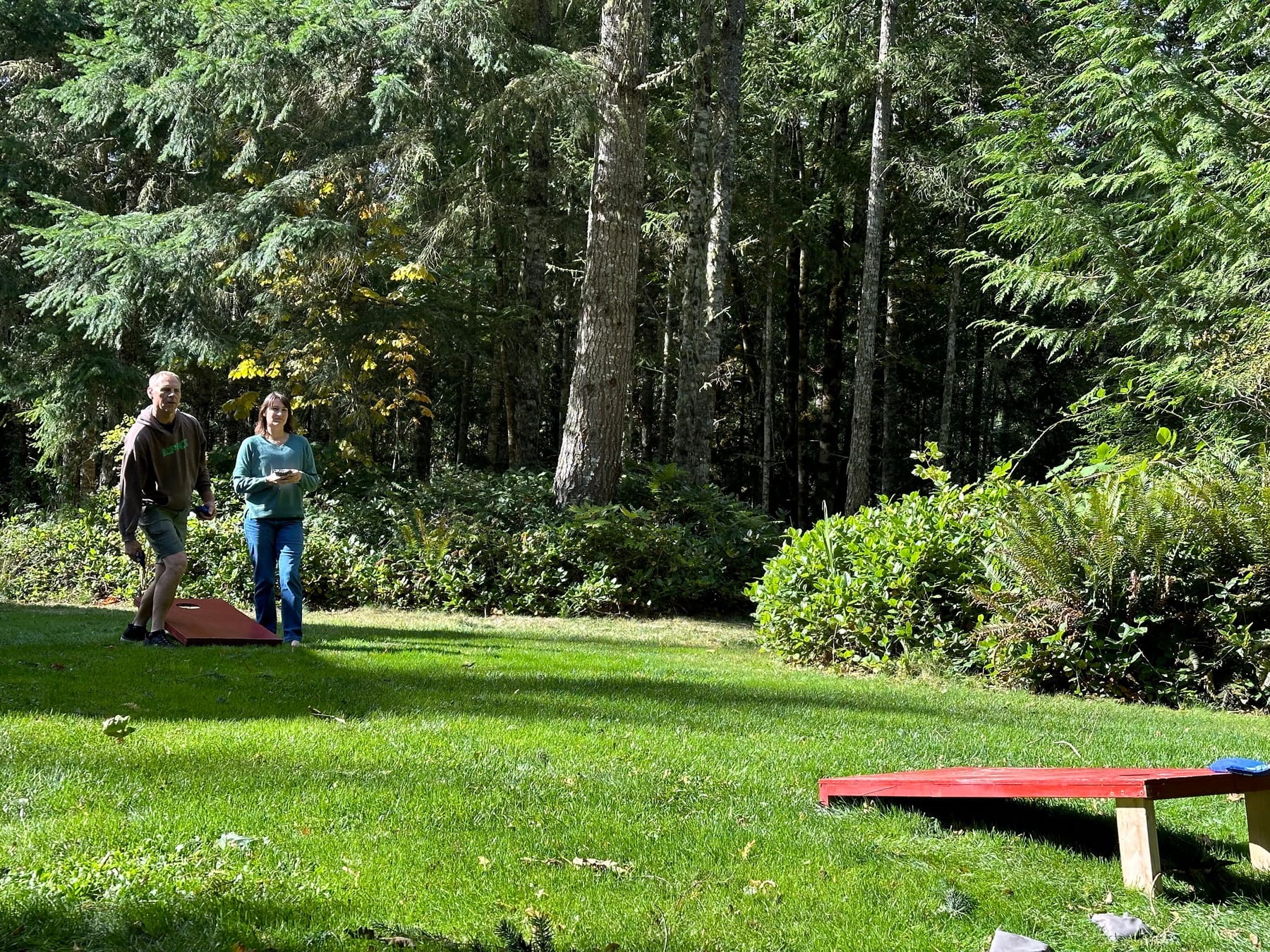 Cornhole on the lawn