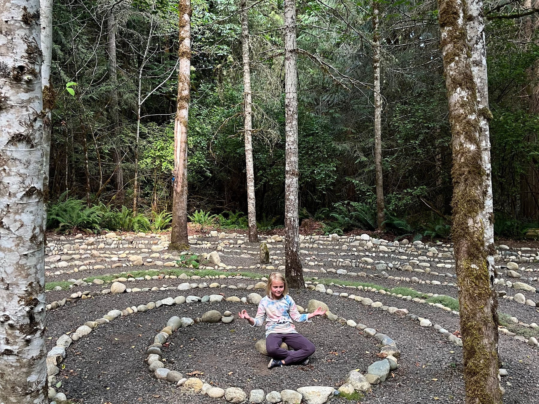A quiet stone circle in Peninsula woods