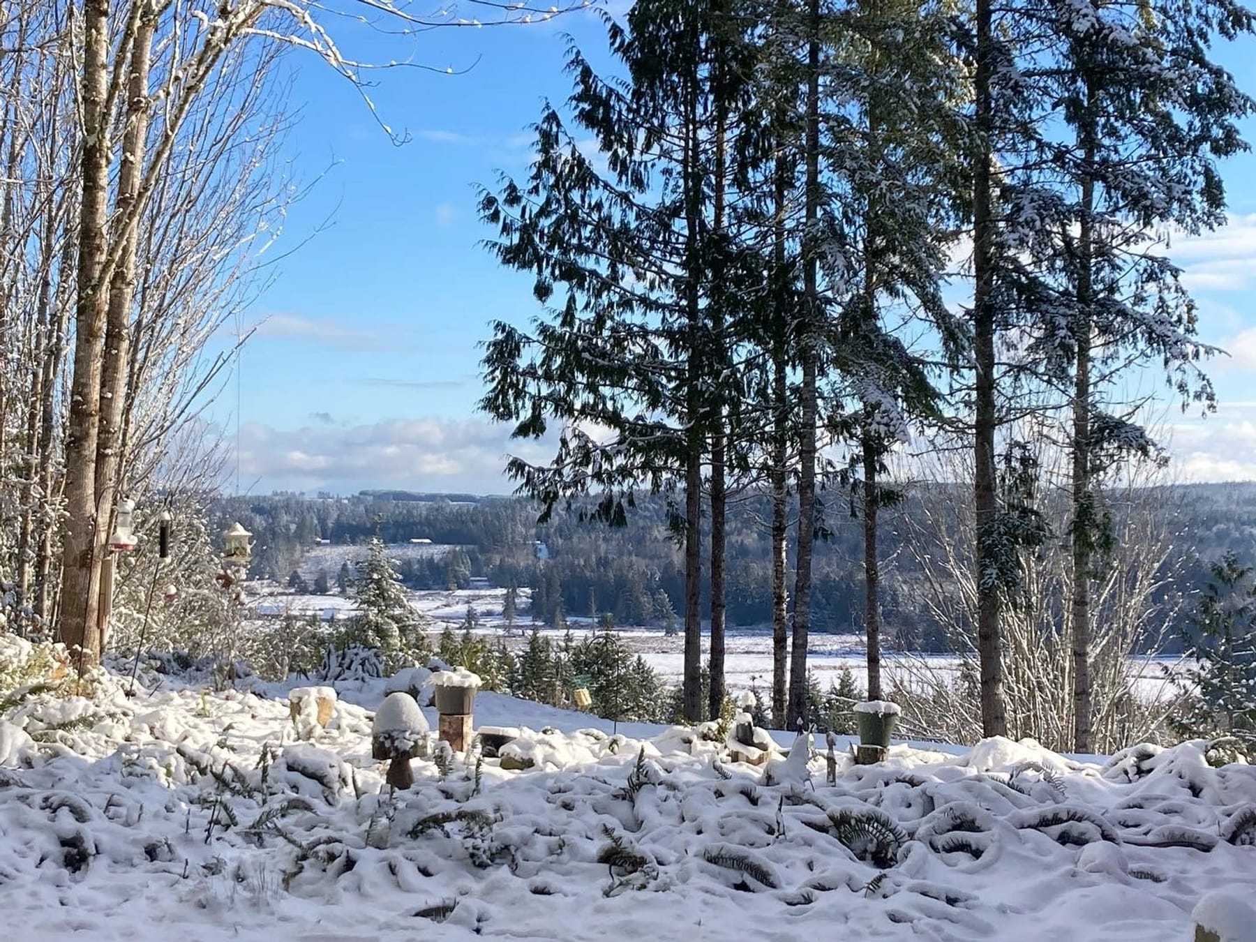 Winter view across Center Valley