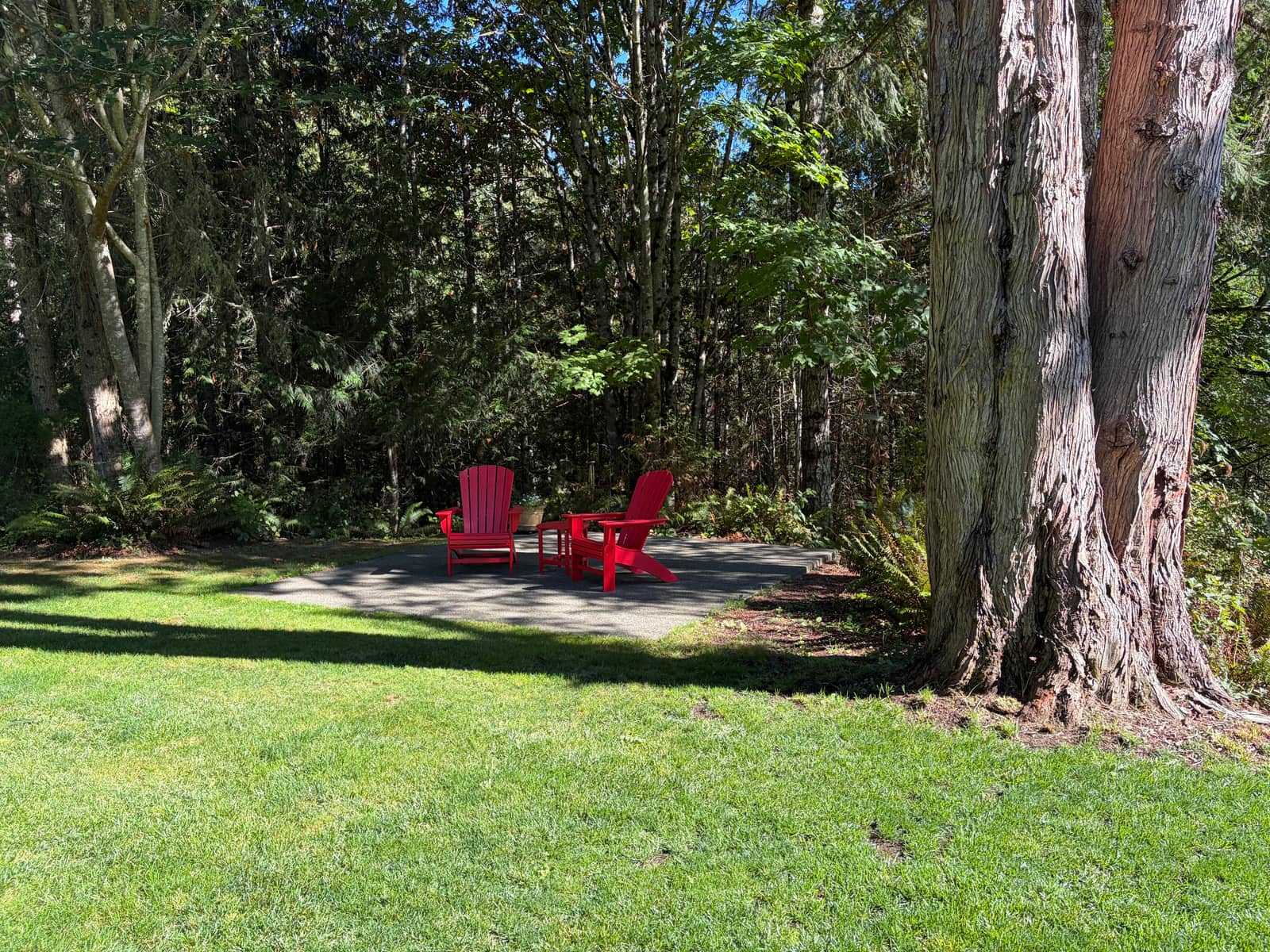Adirondack chairs in the woods