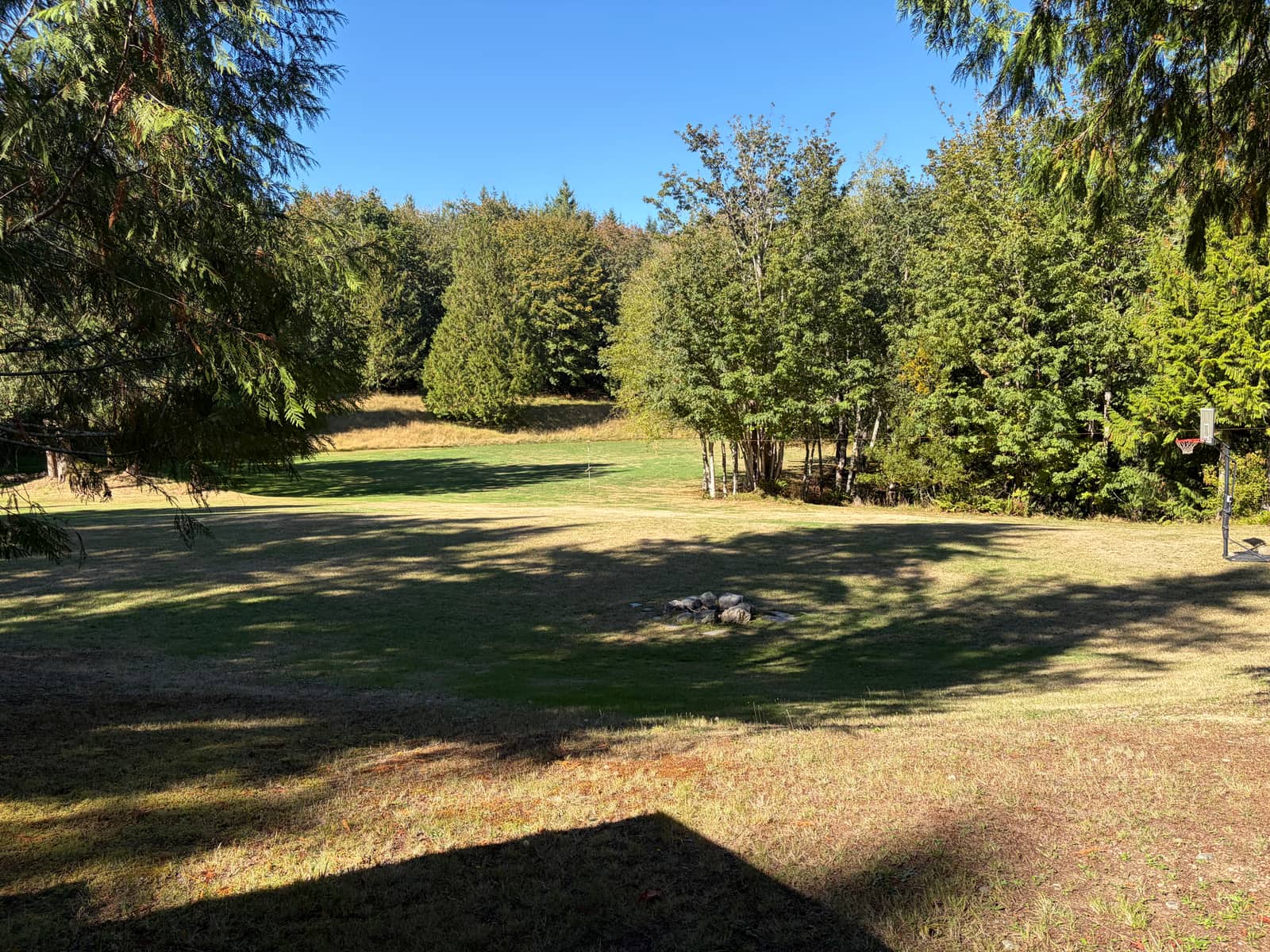 Open field on the property